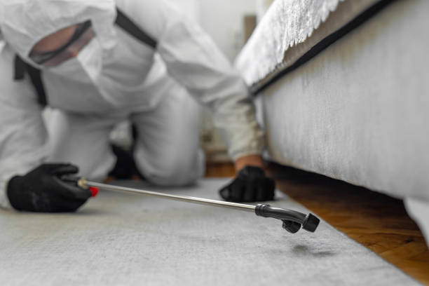 Professional Termite Control technician working in Athens, TN
