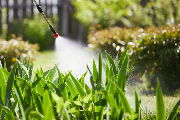 24/7 Emergency Termite Control experts in Athens, TN