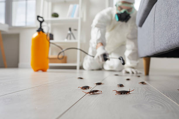 Affordable Termite Control solutions in Athens, TN